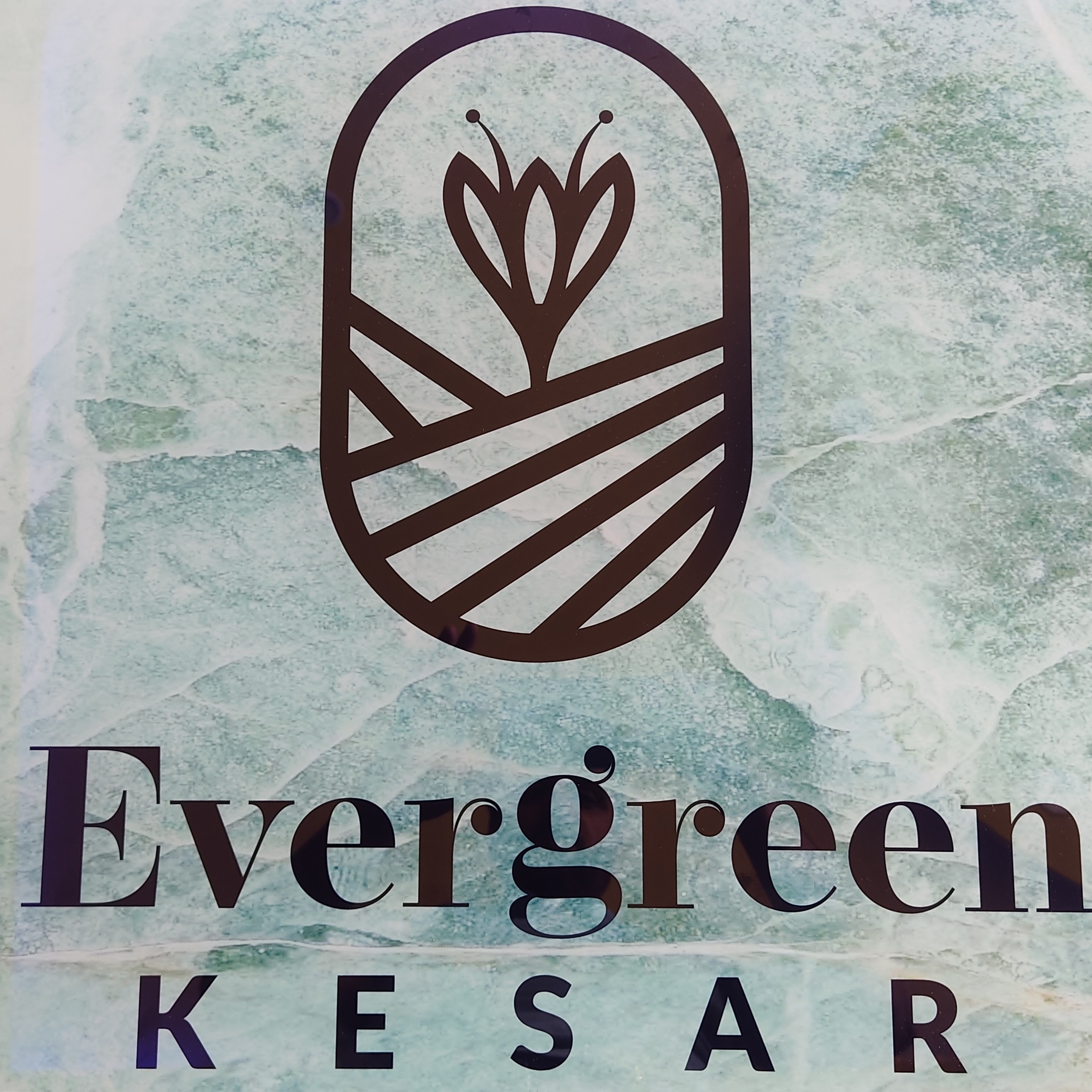 store logo